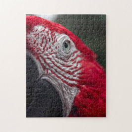 Red Macaw - HD-Foto-Puzzle Puzzle