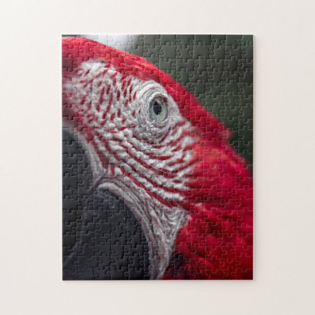 Red Macaw - HD-Foto-Puzzle Puzzle (Vertikal)