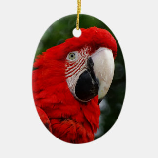 Red Macaw Keramikornament
