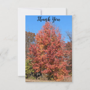 Red Maple Danke-Card Dankeskarte
