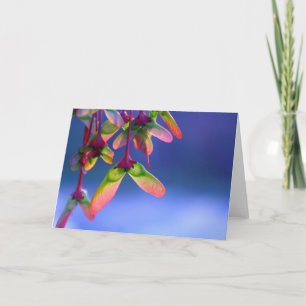 Red Maple Helicopters Blank Note Card Karte