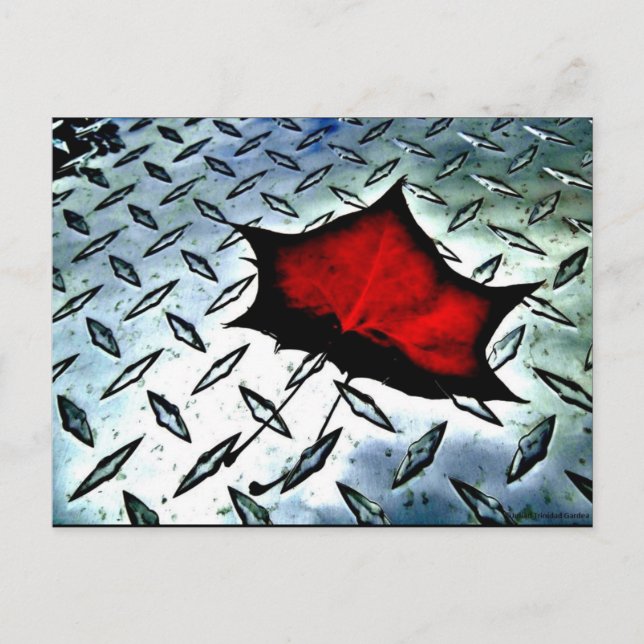 "Red Maple" JTG Art Postcard Postkarte (Vorderseite)