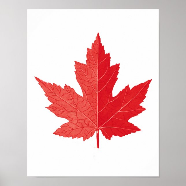 Red Maple leaf Canada Day art print No.11 Poster (Vorne)