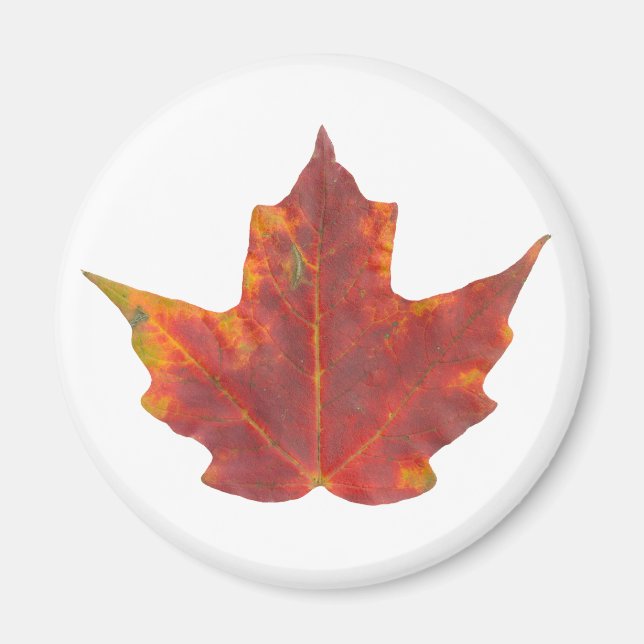 Red Maple Leaf Magnet (Vorne)
