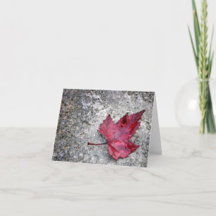 Red Maple Leaf Note Card Karte