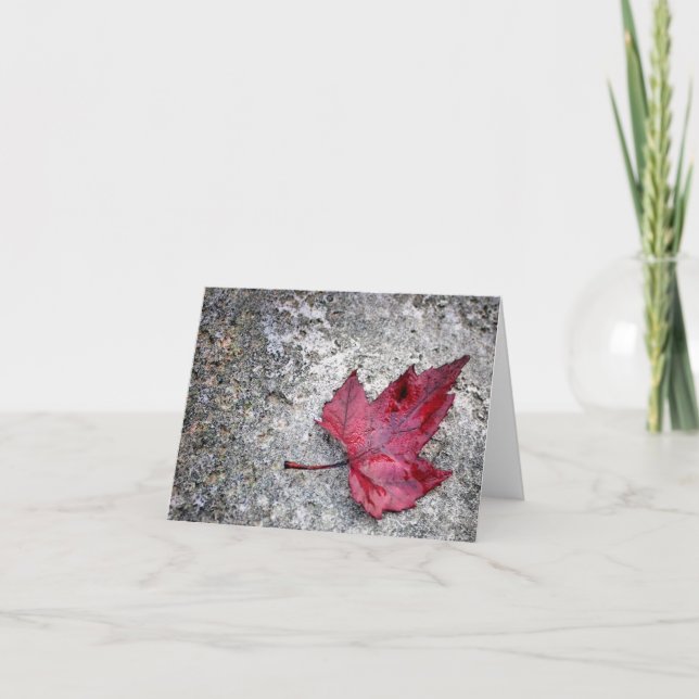 Red Maple Leaf Note Card Karte (Vorderseite)