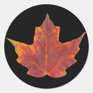 Red Maple Leaf Runder Aufkleber