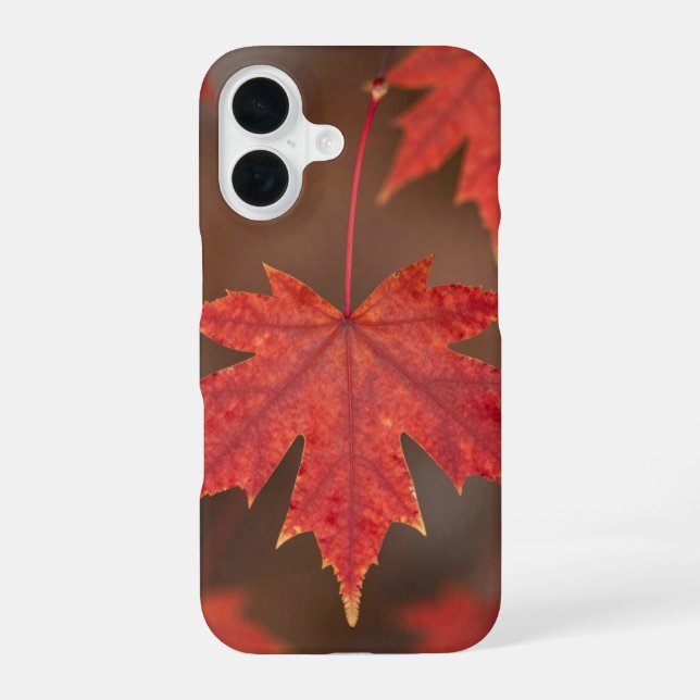 Red Maple Leaves Fall Phone Case iPhone 16 Hülle (Rückseite)