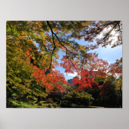 Red Maples im japanischen Garten Poster