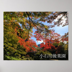 Red Maples im japanischen Garten Poster