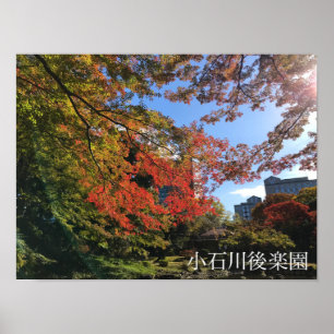 Red Maples im japanischen Garten Poster