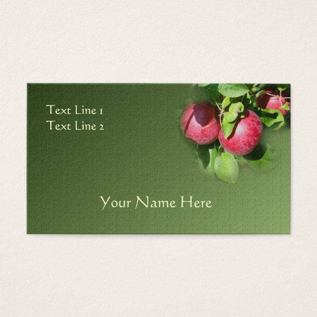 Red McIntosh Äpfel auf Baumart (Vorderseite)