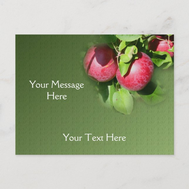 Red McIntosh Äpfel auf Baumart Postkarte (Vorderseite)