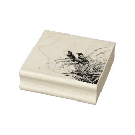 Red Meadowlark Postage-Briefmarke Gummistempel