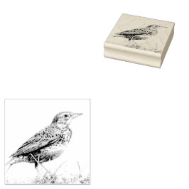 Red Meadowlark Postage-Briefmarke Gummistempel