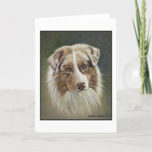 Red Merle Australian Shepherd Grußkarte Dankeskarte