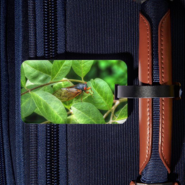 Red Mit Augen Cicada Gepäckanhänger (Rückseite Insitu 2)
