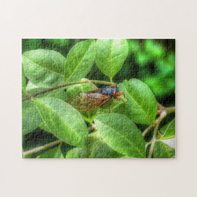 Red Mit Augen Cicada Puzzle (Horizontal)