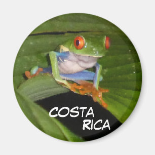 Red Mit Augen Gaudy Frog Anpassbare Magnet
