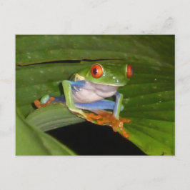 Red Mit Augen Gaudy Frog DIY Postcard Postkarte