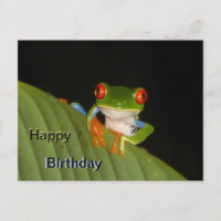 Red Mit Augen Gaudy Frog Happy Birthday Postcard