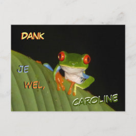 Red Mit Augen Gaudy Night Frog Danke Postcard Postkarte