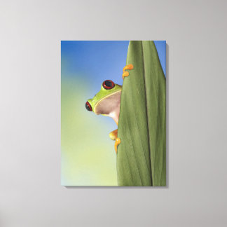 Red Mit Augen Tre Frog Pinkeln von hinten Leinwanddruck
