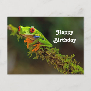Red Mit Augen Tree Frog Foto Geburtstag Postkarte