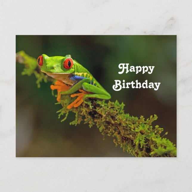 Red Mit Augen Tree Frog Foto Geburtstag Postkarte (Vorderseite)