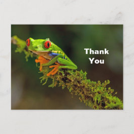 Red Mit Augen Tree Frog Foto Vielen Dank Postkarte