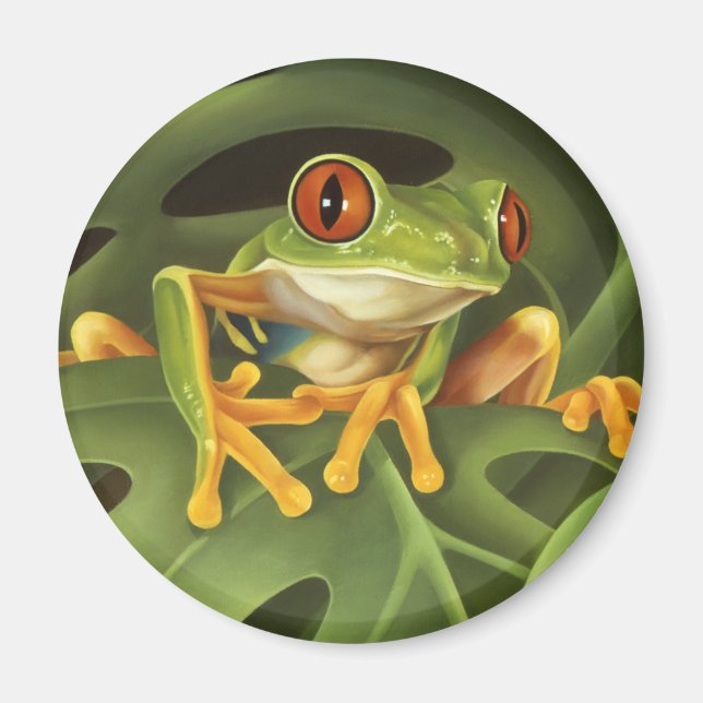 Red Mit Augen Tree Frog Magnet (Vorne)