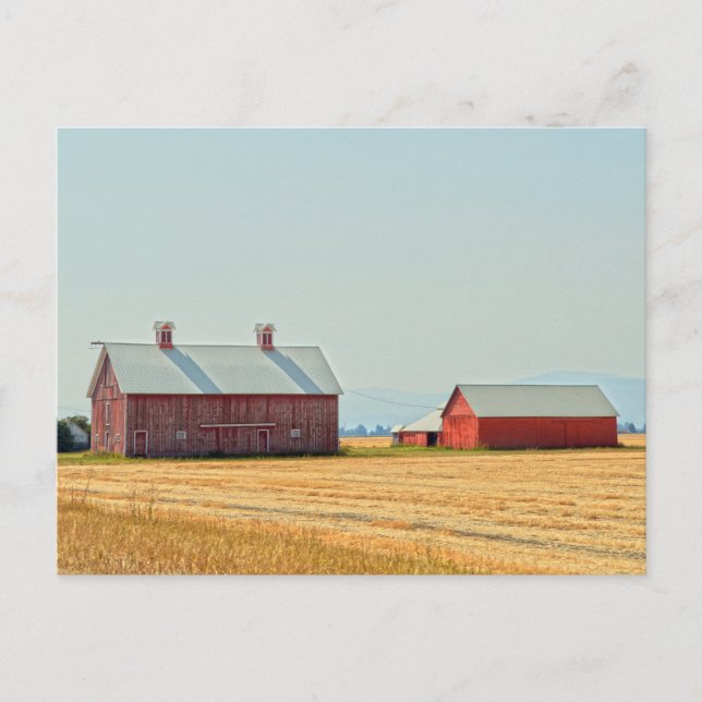 Red Montana Barns Postkarte (Vorderseite)