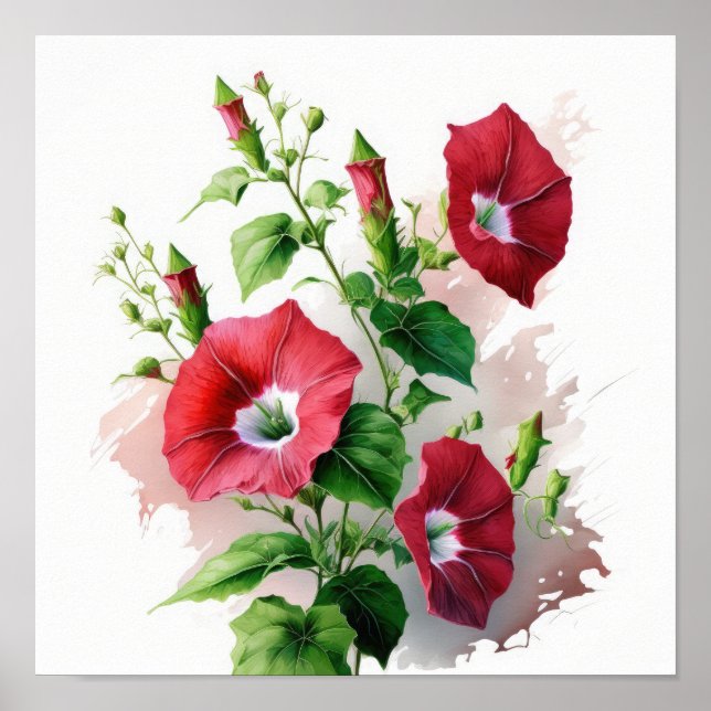 Red Morning Gloriage Blume Art Print Poster (Vorne)