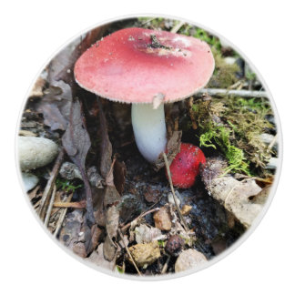 Red Mushroom Fairy Ceramic Knob Keramikknauf