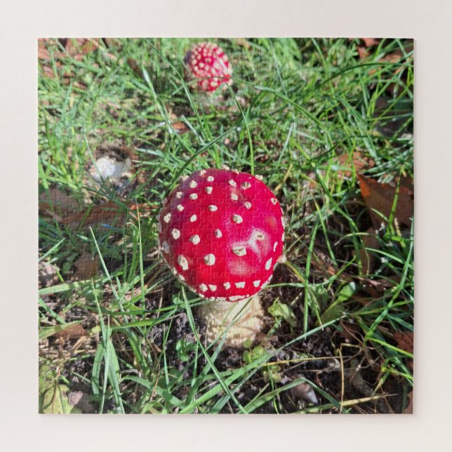 Red mushroom  puzzle (Vertikal)