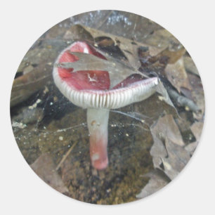 Red Mushroom & Sheet Web Stickers