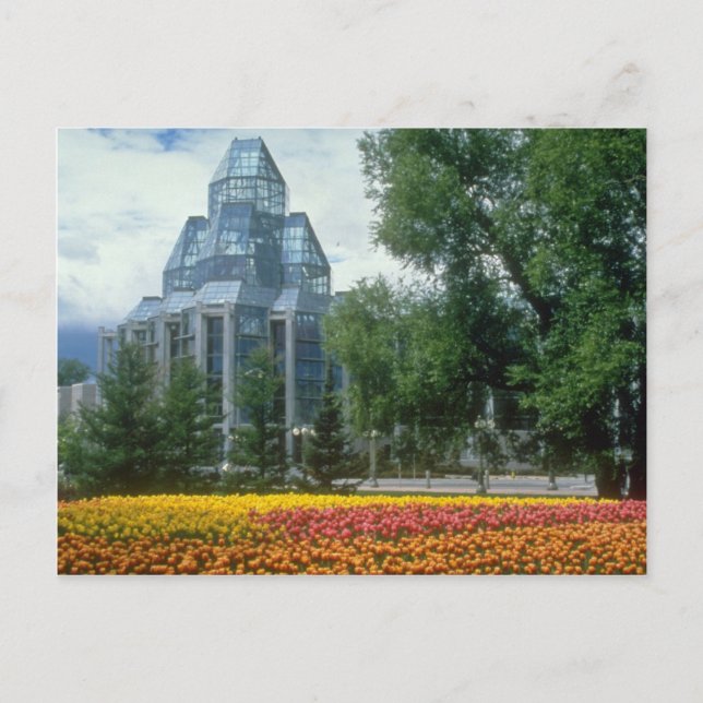 Red National Art Gallery, Ottawa, Kanada Blume Postkarte (Vorderseite)