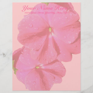 Red New Guinea Impatiens Letterhead Briefkopf