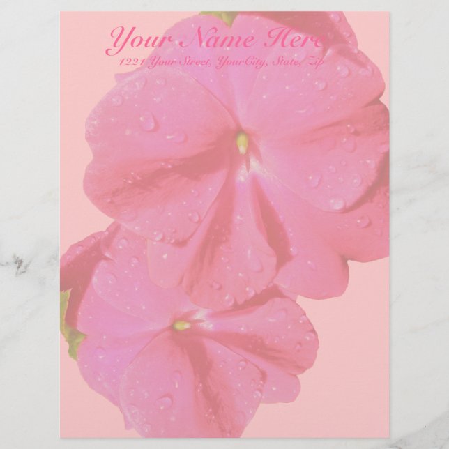 Red New Guinea Impatiens Letterhead Briefkopf (Vorderseite)