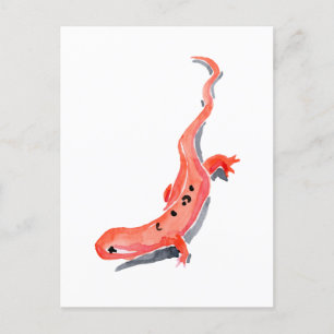 Red Newt Postkarte