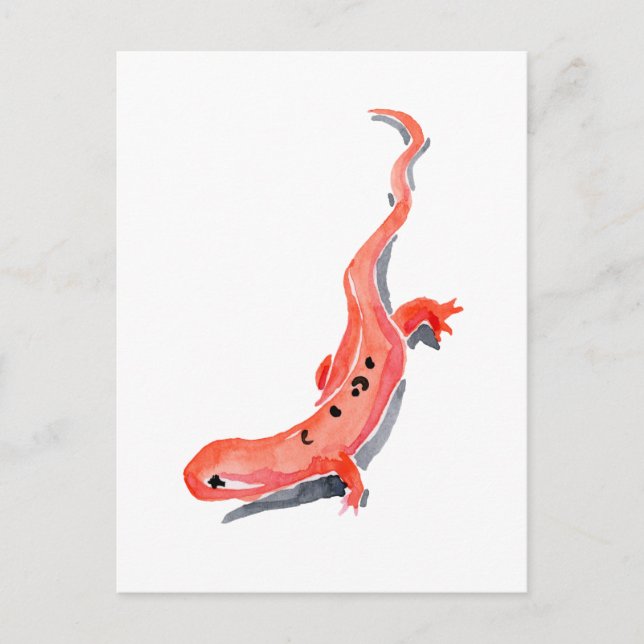 Red Newt Postkarte (Vorderseite)