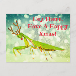 Red Nosed Beten Mantis Merkwürdige Weihnachtspostk Postkarte