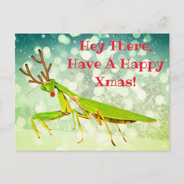 Red Nosed Beten Mantis Merkwürdige Weihnachtspostk Postkarte (Vorderseite)