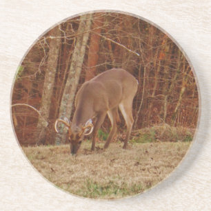 Red Oak Camouflage Stag Buck Deer Fütternd Getränkeuntersetzer