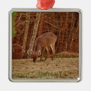 Red Oak Camouflage Stag Buck Deer Fütternd Silbernes Ornament