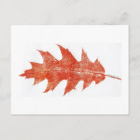 "Red Oak Leaf #2" Landstraßen Postkarte