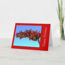 Red Ocotillo Blooms Holiday Grußkarte Feiertagskarte