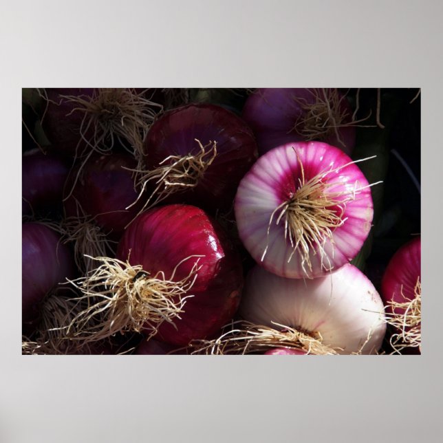 Red Onions Poster (Vorne)