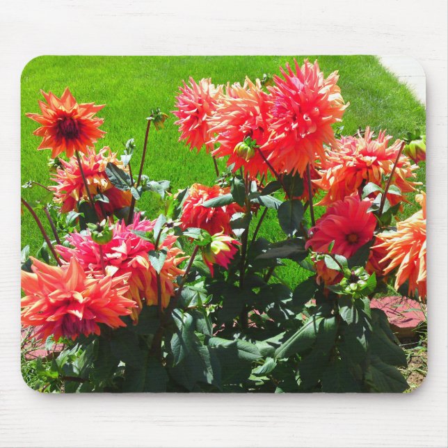 Red Orange Dhalia Mouse Pad Mousepad (Vorne)