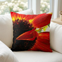 Red Orange Gerbera Daisy Foto Modern Bold Stylish